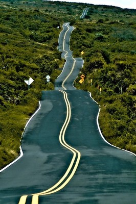 Amazing Paths
