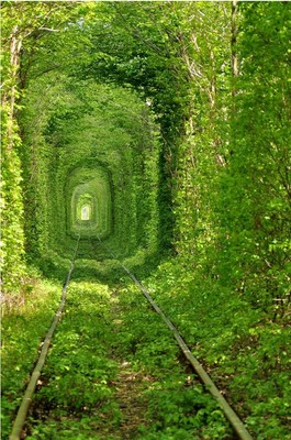 Amazing Paths
