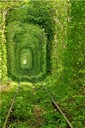 Filename=path_06.jpg
Filesize=212KiB
Dimensions=553x832
Date added=Mar 19, 2021 path_06.jpg