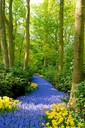 Filename=path_15.jpg
Filesize=183KiB
Dimensions=469x700
Date added=Mar 19, 2021 path_15.jpg