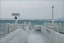 Filename=cold_05.gif
Filesize=42KiB
Dimensions=758x504
Date added=Mar 19, 2021 cold_05.gif