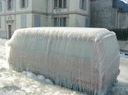 cold_13.gif