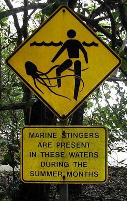 Funny Sign
