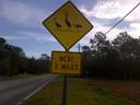 Filename=sign_80.jpg
Filesize=254KiB
Dimensions=1024x768
Date added=Mar 19, 2021 sign_80.jpg
