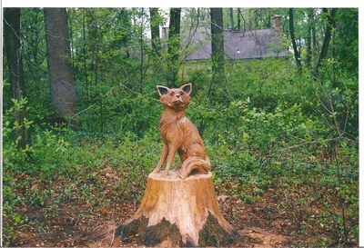 Wood Sculptures
