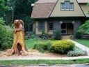 Filename=bear_0142.jpg
Filesize=169KiB
Dimensions=800x602
Date added=Mar 18, 2021 bear_0142.jpg