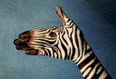 Filename=finger_01.jpg
Filesize=106KiB
Dimensions=800x544
Date added=Mar 18, 2021 finger_01.jpg