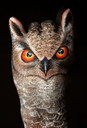 Filename=finger_06.jpg
Filesize=86KiB
Dimensions=408x600
Date added=Mar 18, 2021 finger_06.jpg