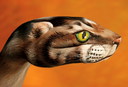 Filename=finger_11.jpg
Filesize=116KiB
Dimensions=800x545
Date added=Mar 18, 2021 finger_11.jpg