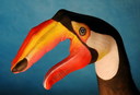 Filename=finger_12.jpg
Filesize=100KiB
Dimensions=800x545
Date added=Mar 18, 2021 finger_12.jpg