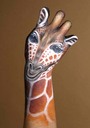 Filename=finger_16.jpg
Filesize=50KiB
Dimensions=423x600
Date added=Mar 18, 2021 finger_16.jpg